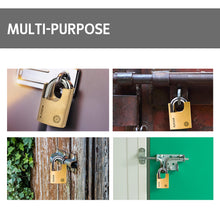 BLOSSOM Padlock Brass Protected Shackle 50mm BC9650